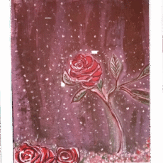 Single Rose