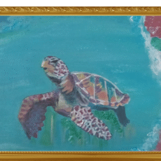 Mr. Thomas Turtle